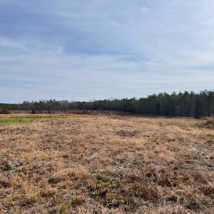 Photo #5 of SOLD property in Off Liberty Hall Road, King and Queen Courthouse, VA 19.3 acres