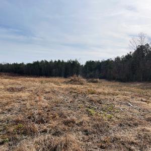 Photo #6 of SOLD property in Off Liberty Hall Road, King and Queen Courthouse, VA 19.3 acres