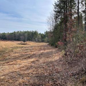Photo #7 of SOLD property in Off Liberty Hall Road, King and Queen Courthouse, VA 19.3 acres
