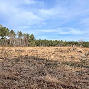Photo #8 of SOLD property in Off Liberty Hall Road, King and Queen Courthouse, VA 19.3 acres