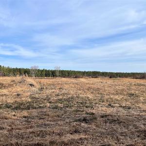 Photo #9 of SOLD property in Off Liberty Hall Road, King and Queen Courthouse, VA 19.3 acres