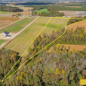 Photo #9 of SOLD property in Off Highway 111, Chinquapin, NC 13.6 acres