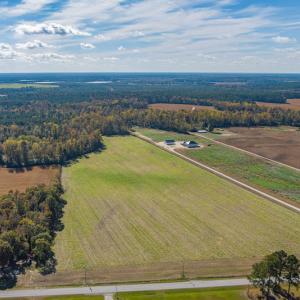 Photo #11 of SOLD property in Off Highway 111, Chinquapin, NC 13.6 acres