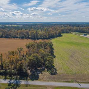 Photo #12 of SOLD property in Off Highway 111, Chinquapin, NC 13.6 acres