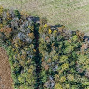 Photo #13 of SOLD property in Off Highway 111, Chinquapin, NC 13.6 acres