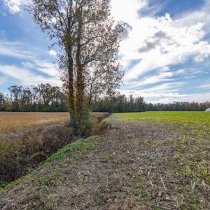Photo #14 of SOLD property in Off Highway 111, Chinquapin, NC 13.6 acres