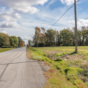 Photo #15 of SOLD property in Off Highway 111, Chinquapin, NC 13.6 acres