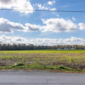Photo #16 of SOLD property in Off Highway 111, Chinquapin, NC 13.6 acres