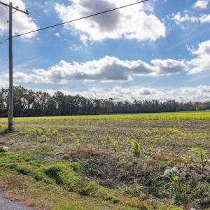 Photo #17 of SOLD property in Off Highway 111, Chinquapin, NC 13.6 acres