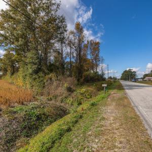 Photo #18 of SOLD property in Off Highway 111, Chinquapin, NC 13.6 acres