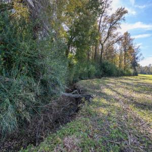 Photo #19 of SOLD property in Off Highway 111, Chinquapin, NC 13.6 acres