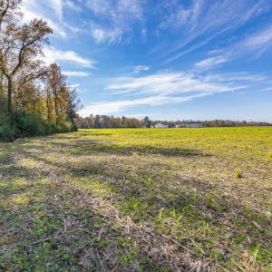 Photo #20 of SOLD property in Off Highway 111, Chinquapin, NC 13.6 acres