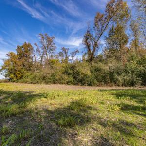 Photo #21 of SOLD property in Off Highway 111, Chinquapin, NC 13.6 acres