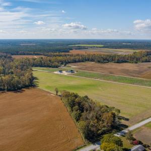 Photo #2 of SOLD property in Off Highway 111, Chinquapin, NC 13.6 acres