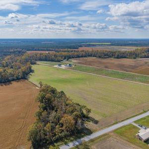 Photo #3 of SOLD property in Off Highway 111, Chinquapin, NC 13.6 acres