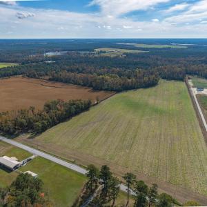 Photo #4 of SOLD property in Off Highway 111, Chinquapin, NC 13.6 acres