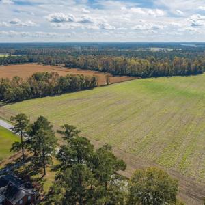 Photo #5 of SOLD property in Off Highway 111, Chinquapin, NC 13.6 acres