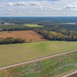 Photo #6 of SOLD property in Off Highway 111, Chinquapin, NC 13.6 acres