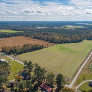 Photo #7 of SOLD property in Off Highway 111, Chinquapin, NC 13.6 acres