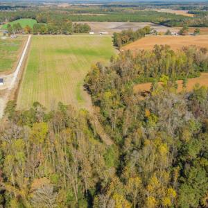 Photo #8 of SOLD property in Off Highway 111, Chinquapin, NC 13.6 acres