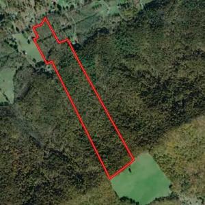 Photo #1 of SOLD property in Off Laurel Fork Road, Rocky Gap, VA 55.0 acres