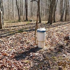 Photo #10 of SOLD property in Off Laurel Fork Road, Rocky Gap, VA 55.0 acres