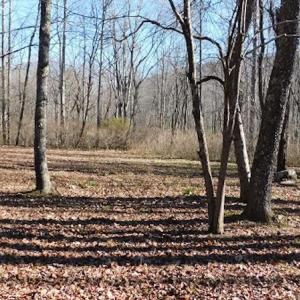 Photo #11 of SOLD property in Off Laurel Fork Road, Rocky Gap, VA 55.0 acres