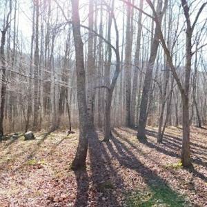 Photo #12 of SOLD property in Off Laurel Fork Road, Rocky Gap, VA 55.0 acres