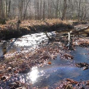 Photo #14 of SOLD property in Off Laurel Fork Road, Rocky Gap, VA 55.0 acres