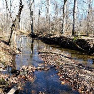 Photo #17 of SOLD property in Off Laurel Fork Road, Rocky Gap, VA 55.0 acres