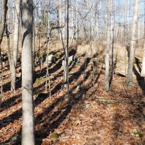 Photo #22 of SOLD property in Off Laurel Fork Road, Rocky Gap, VA 55.0 acres