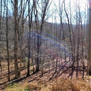Photo #23 of SOLD property in Off Laurel Fork Road, Rocky Gap, VA 55.0 acres