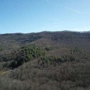 Photo #5 of SOLD property in Off Laurel Fork Road, Rocky Gap, VA 55.0 acres