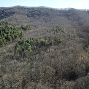Photo #7 of SOLD property in Off Laurel Fork Road, Rocky Gap, VA 55.0 acres