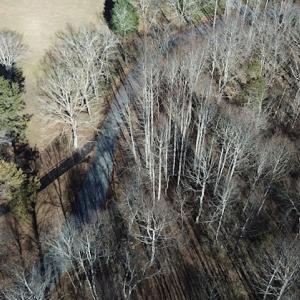 Photo #8 of SOLD property in Off Laurel Fork Road, Rocky Gap, VA 55.0 acres