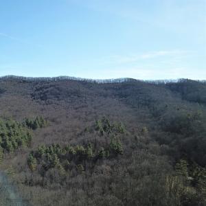 Photo #9 of SOLD property in Off Laurel Fork Road, Rocky Gap, VA 55.0 acres
