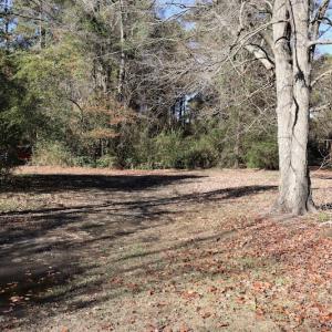 Photo #5 of SOLD property in Off Hwy 242, Bladenboro, NC 4.9 acres