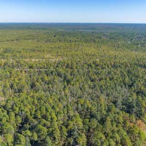 Photo #19 of SOLD property in Off Redwood Road, Southport, NC 14.7 acres