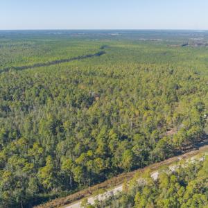 Photo #21 of SOLD property in Off Redwood Road, Southport, NC 14.7 acres