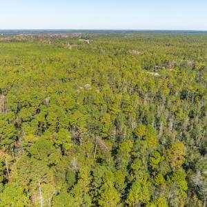 Photo #22 of SOLD property in Off Redwood Road, Southport, NC 14.7 acres