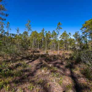 Photo #26 of SOLD property in Off Redwood Road, Southport, NC 14.7 acres