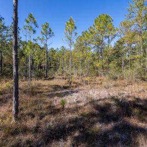 Photo #27 of SOLD property in Off Redwood Road, Southport, NC 14.7 acres