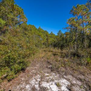 Photo #35 of SOLD property in Off Redwood Road, Southport, NC 14.7 acres