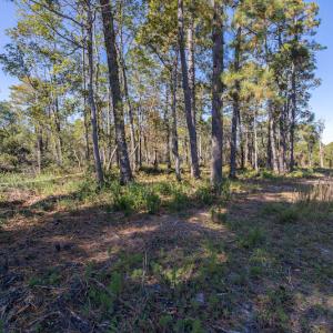 Photo #36 of SOLD property in Off Redwood Road, Southport, NC 14.7 acres