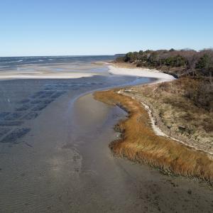 Photo #12 of SOLD property in Off Hungars Beach Road, Cape Charles, VA 1.6 acres