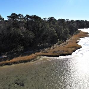 Photo #14 of SOLD property in Off Hungars Beach Road, Cape Charles, VA 1.6 acres