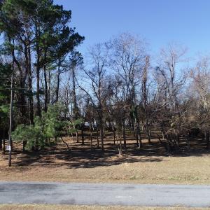 Photo #16 of SOLD property in Off Hungars Beach Road, Cape Charles, VA 1.6 acres