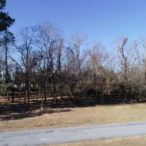 Photo #17 of SOLD property in Off Hungars Beach Road, Cape Charles, VA 1.6 acres
