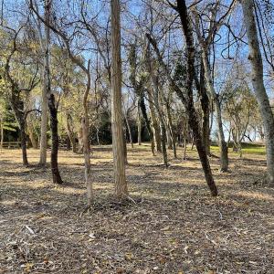 Photo #19 of SOLD property in Off Hungars Beach Road, Cape Charles, VA 1.6 acres
