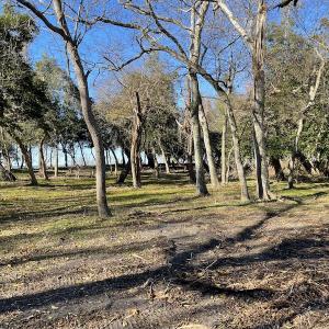Photo #20 of SOLD property in Off Hungars Beach Road, Cape Charles, VA 1.6 acres